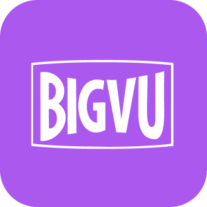BigVu