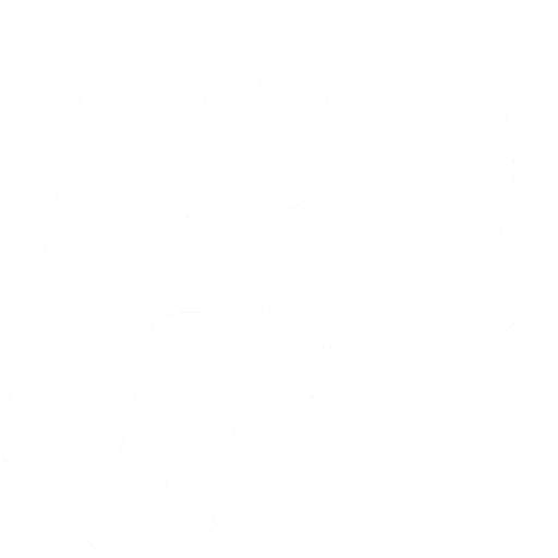 PayPal logo
